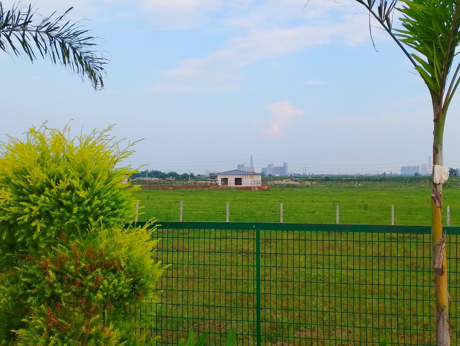 1008 sq.yd Farm Plot in Noida